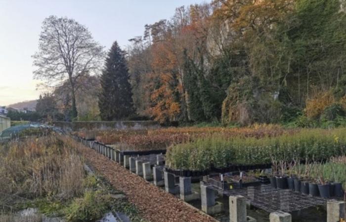 A mild and dry autumnal Monday to start the week