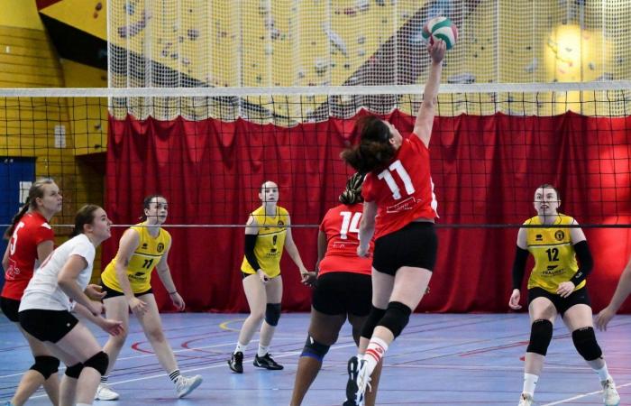 VOLLEY BALL: A great victory for the women of Le Creusot against Besançon