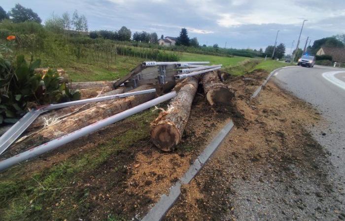 Spectacular heavy goods vehicle accident: logs end up in the garden of a home