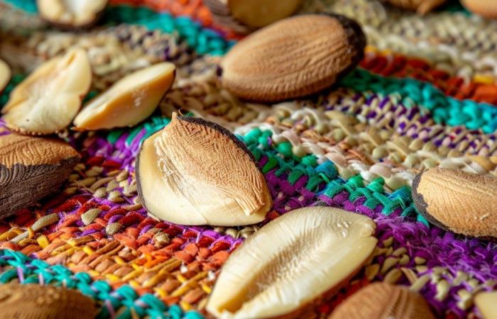 A few Brazil nuts per day to relieve a stressed intestine