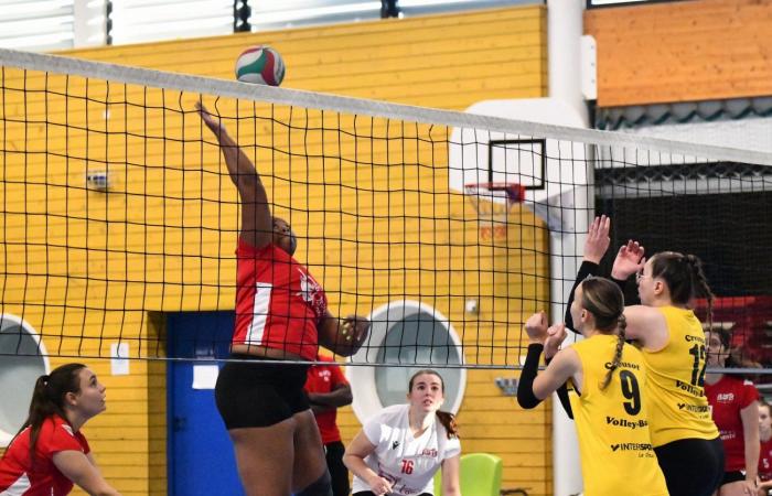 VOLLEY BALL: A great victory for the women of Le Creusot against Besançon