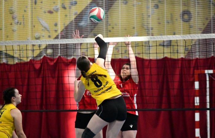 VOLLEY BALL: A great victory for the women of Le Creusot against Besançon