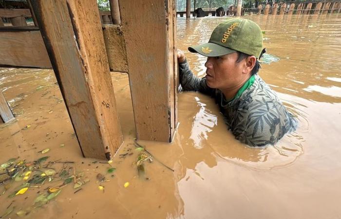 Elephant flood rescue Thailand