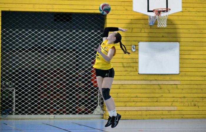 VOLLEY BALL: A great victory for the women of Le Creusot against Besançon