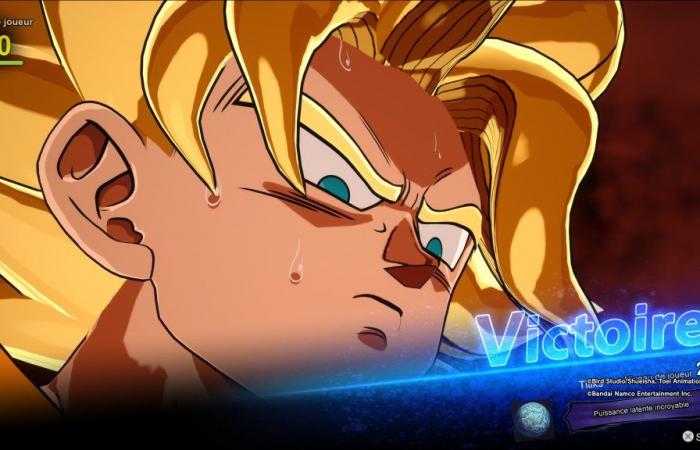 Test: Dragon Ball Sparking! ZERO – The worthy heir