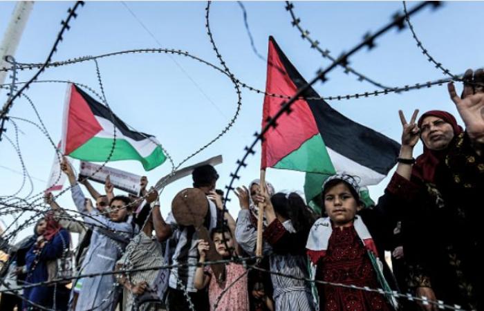 Nonviolent resistance in Palestine is more dangerous than ever — but it’s the only way forward