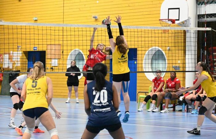 VOLLEY BALL: A great victory for the women of Le Creusot against Besançon