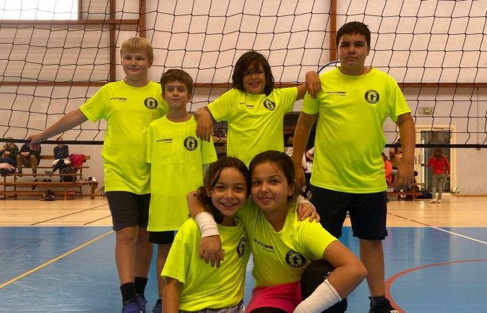 VOLLEY BALL: A great victory for the women of Le Creusot against Besançon