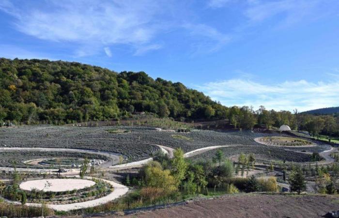 “The Starry Night” by Van Gogh reproduced in a giant version in a garden (photos)