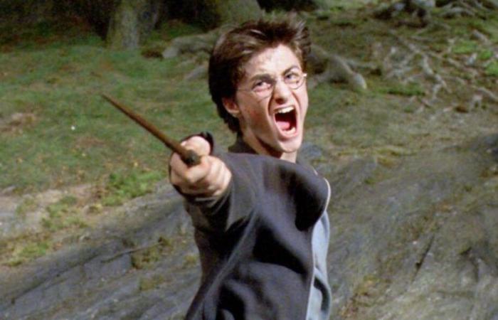 This actress regrets losing this deliciously zany Harry Potter role