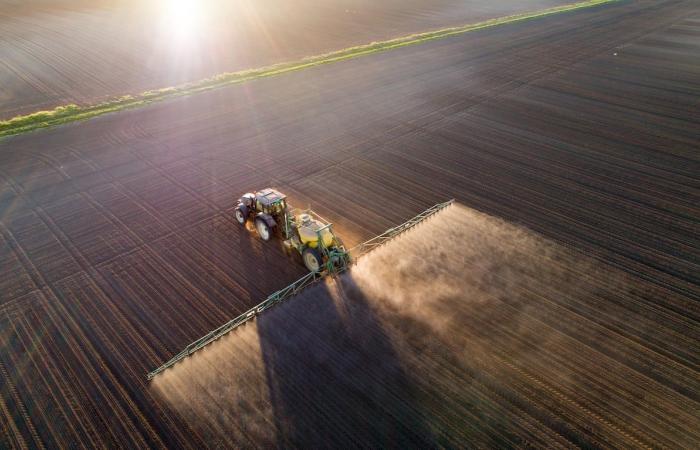 Field inspections in freefall