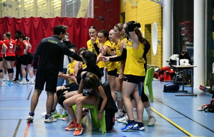 VOLLEY BALL: A great victory for the women of Le Creusot against Besançon