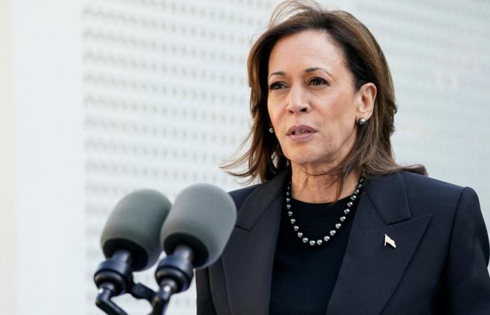 Harris says she wouldn’t meet Putin without Ukraine represented