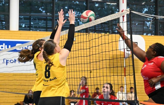 VOLLEY BALL: A great victory for the women of Le Creusot against Besançon