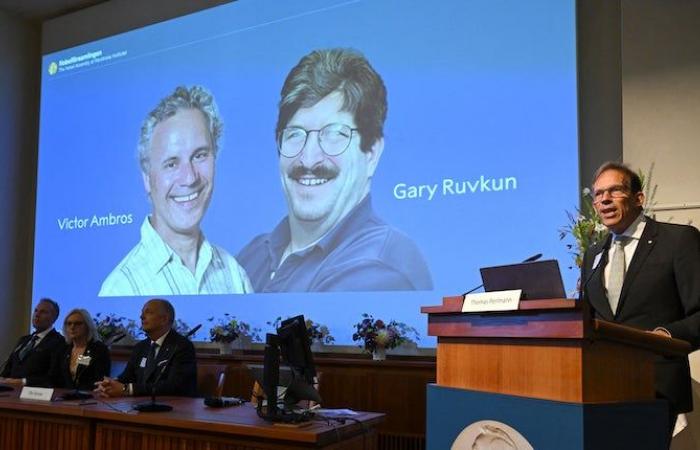 Who are Victor Ambros and Gary Ruvkun, the two researchers who have just won the Nobel Prize in Medicine for the discovery of microRNAs?