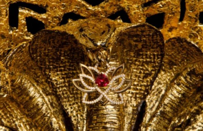 After The Golden Owl, take part in a new, completely crazy treasure hunt: 50,000 euros up for grabs if you find the Golden Naga!