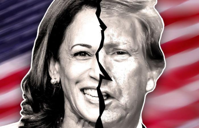 Donald Trump is ahead of Kamala Harris on Polymarket: Elon Musk finds it more precise than a poll