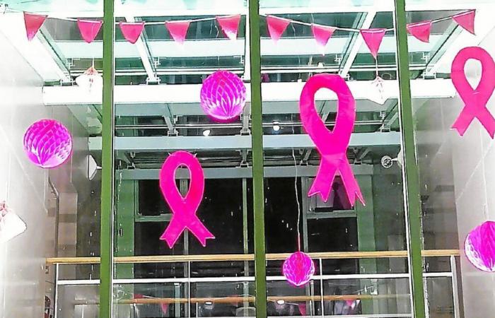 In Quimper, the gallery on the route de Bénodet is organizing a clothing and hair collection for Pink October