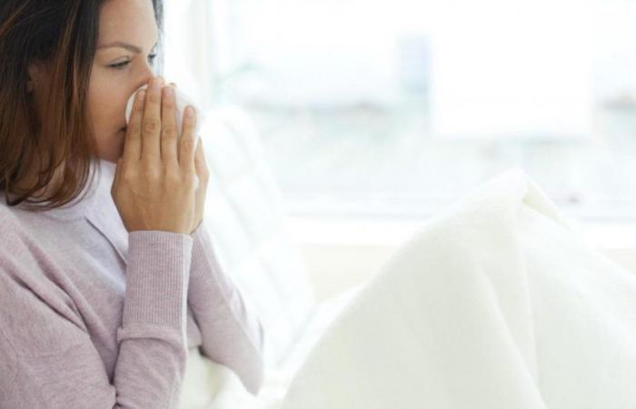 Flu: 5 simple actions to avoid it