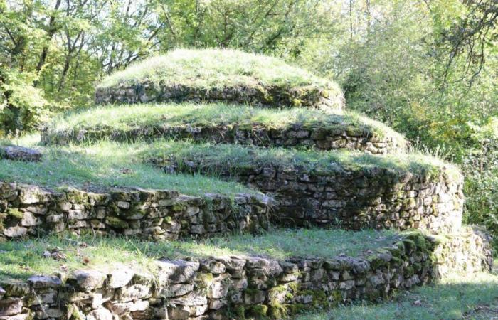 DNA analyzes of bones begin to unravel the mystery of the mounds