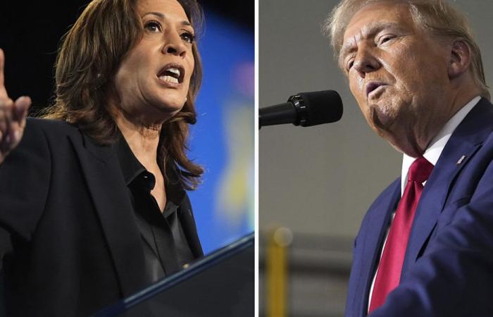 Harris and Trump attack each other in interviews