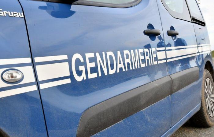 Two octogenarian sisters from Narbonne killed in a road accident in Tarn