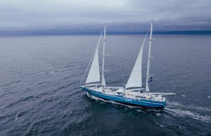 Heading towards maritime decarbonization thanks to cargo sailboats