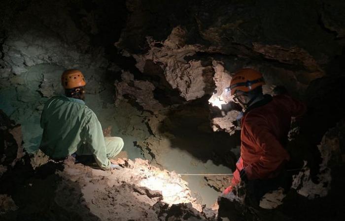 Drought in Hérault: what is the state of water reserves? Dive into the bowels of the Clamouse cave to better understand