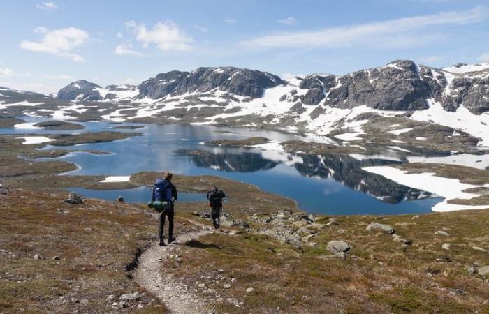 Broken down in the middle of Norway, a couple from Élancourt are rescued by a TV star