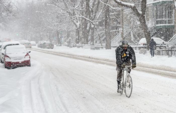 The forecasts for winter 2024-2025 in Quebec are out and it looks chaotic