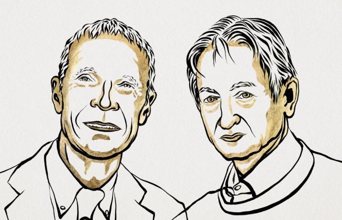 The 2024 Nobel Prize in Physics for two pioneers of machine learning