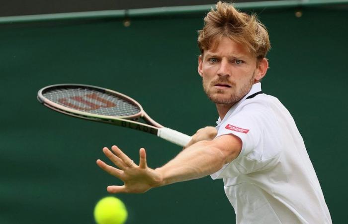 Tennis, ATP – Shanghai Masters 2024: Goffin gets past Giron