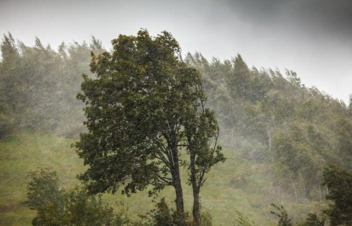 the Loiret placed on orange alert for rain and flooding, here is what to do