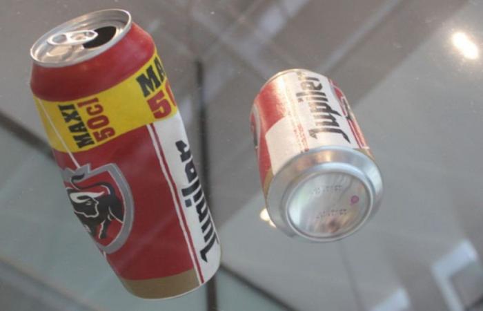 Art or waste? Overzealous employee throws beer can art into trash