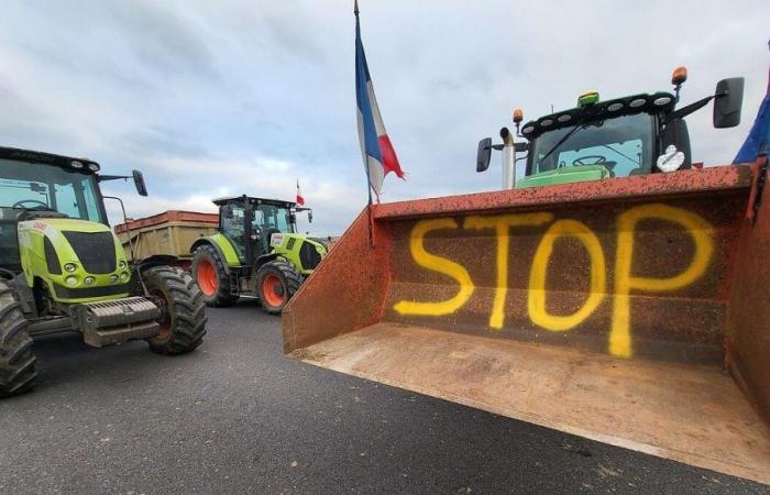 A demonstration by farmers this Wednesday in Nancy for “an urgent change of course”