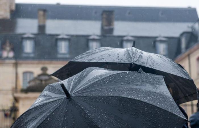 Rain and floods in Saône-et-Loire: around fifteen firefighter interventions overnight