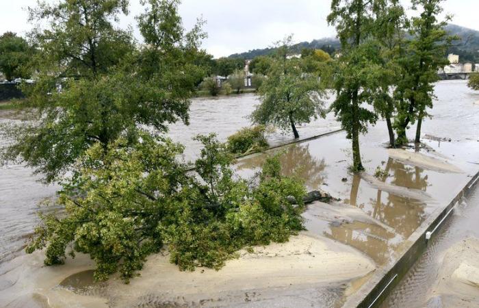 Cévennes: the Alès roach gets angry then calms down