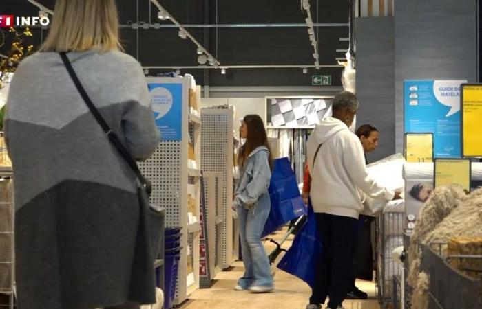 “A pretty clever strategy”: Jysk, Ikea’s Danish rival, attracts more and more French people with its low prices