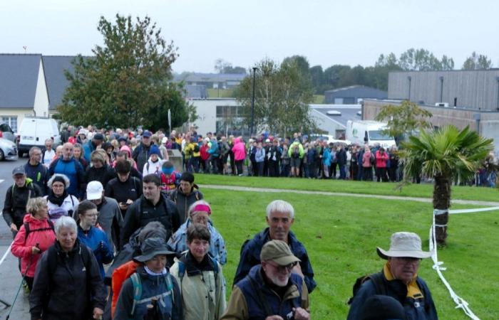 PHOTOS. 510 hikers gathered in a Calvados forest