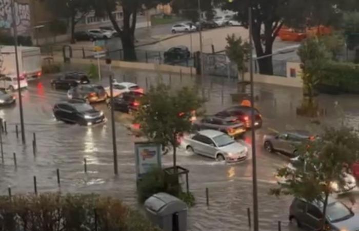 IN PICTURES. Flooded roads, closed schools, torn roads… torrential rains fall on Marseille