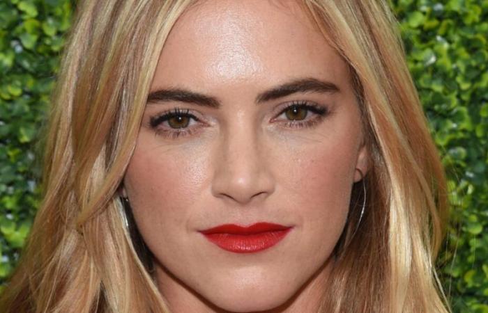 Emily Wickersham (NCIS) has given birth and reveals her baby’s name