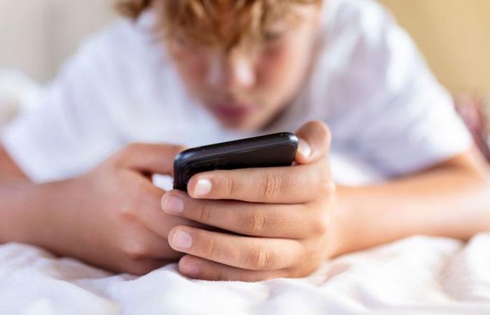 A teenager spends on average 4 hours a day on their smartphone during the holidays, according to a study