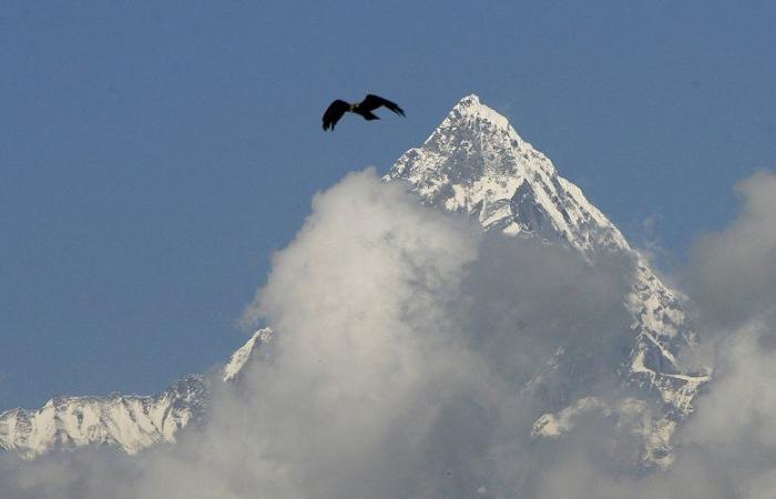 Mountaineering: “Five dead bodies were discovered…” Tragic death of Russian climbers in the Himalayas