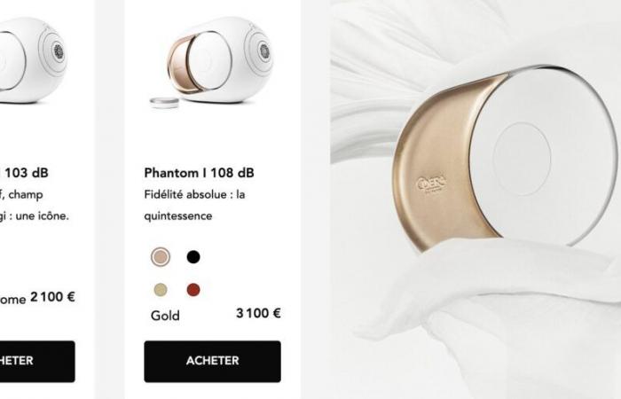 Will Devialet and its several thousand euro speakers collapse?