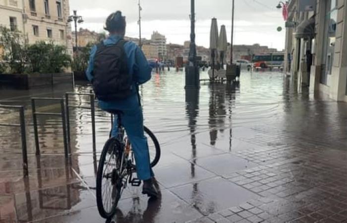 images of floods and damage in the city