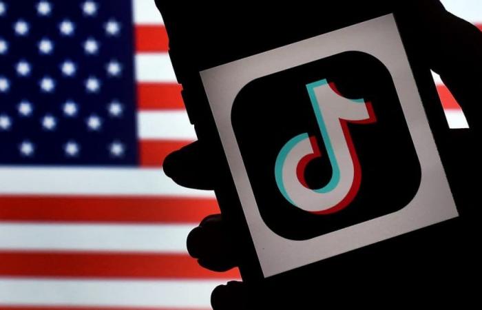 Mental health: TikTok taken to court by 14 US states