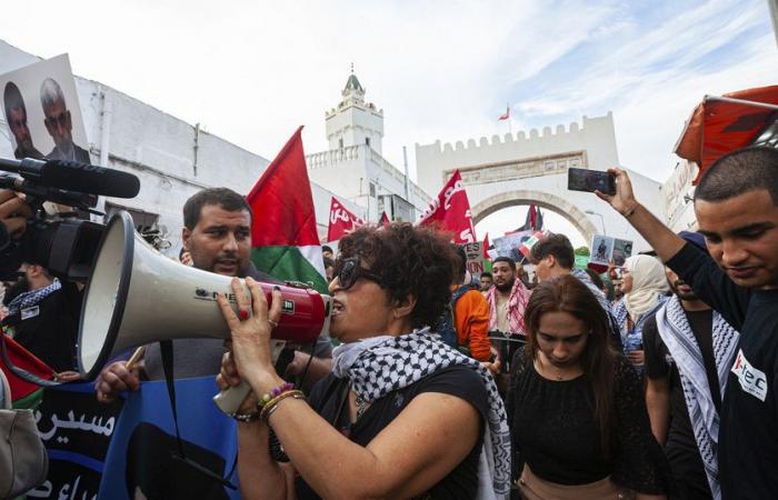 Israel-Hamas war: one year later, Tunisians are still marching for Gaza