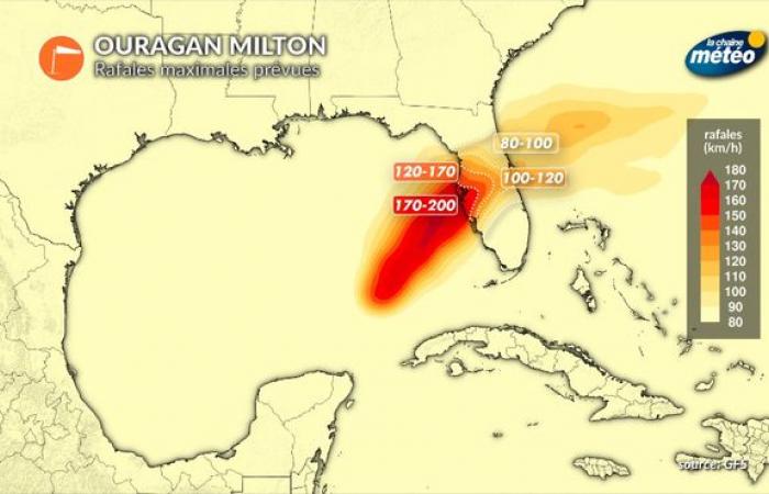 Hurricane Milton will hit Florida this Thursday morning with winds over 200 km/h