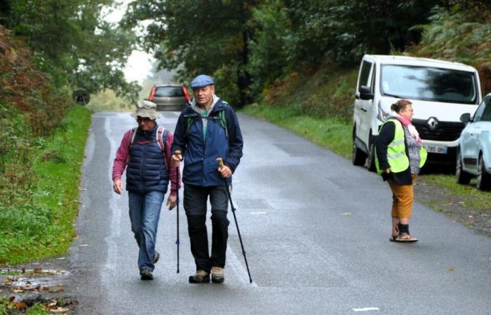 PHOTOS. 510 hikers gathered in a Calvados forest