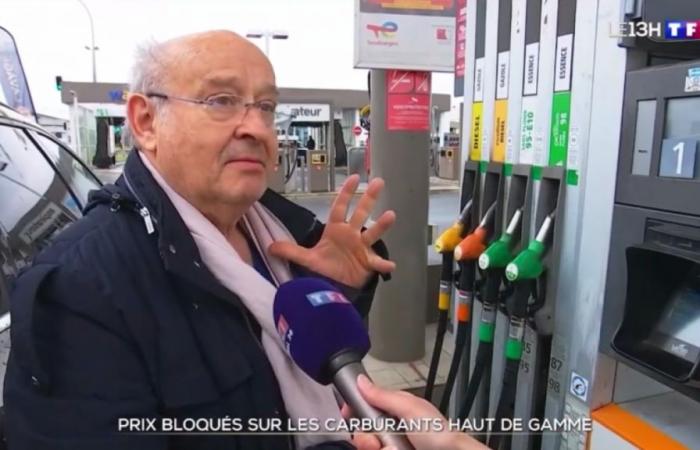 Michel Jonasz returns to an incognito sequence on TF1: “I wanted to say hello to my mother” (video)